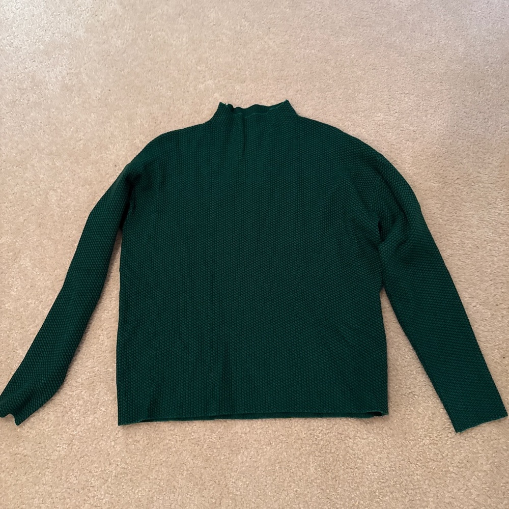Adrienne Vittadini green and black sweater